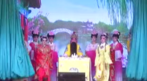 益阳花鼓戏《狸猫换太子》完整版视频下载-集雅曲艺网